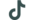IC_TikTok